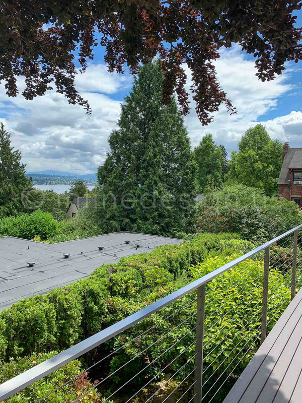 steel railing arcadia cable